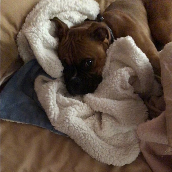 Meet your Posher, Sharon - Picture 1 of 1